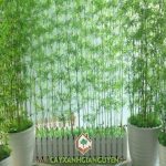 NHỮNG NHÓM CÂY CÔNG TRÌNH CÓ TÁC DỤNG TRANG TRÍ